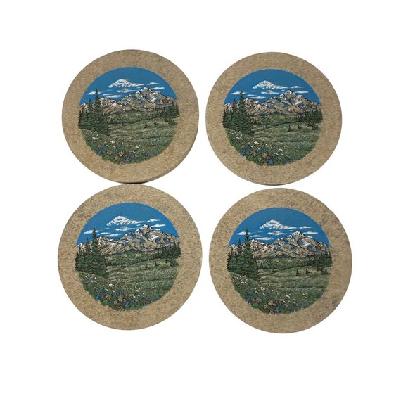 Thirstystone Brand Mountain Landscape 4 Coasters Absorbent Natural Sandstone USA - Picture 1 of 7